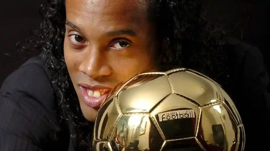 感受到了花 感受到了花