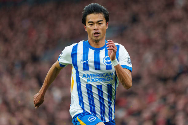 注的花滑选 注的花滑选